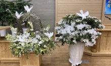 2024.3.31(부활주일)~…